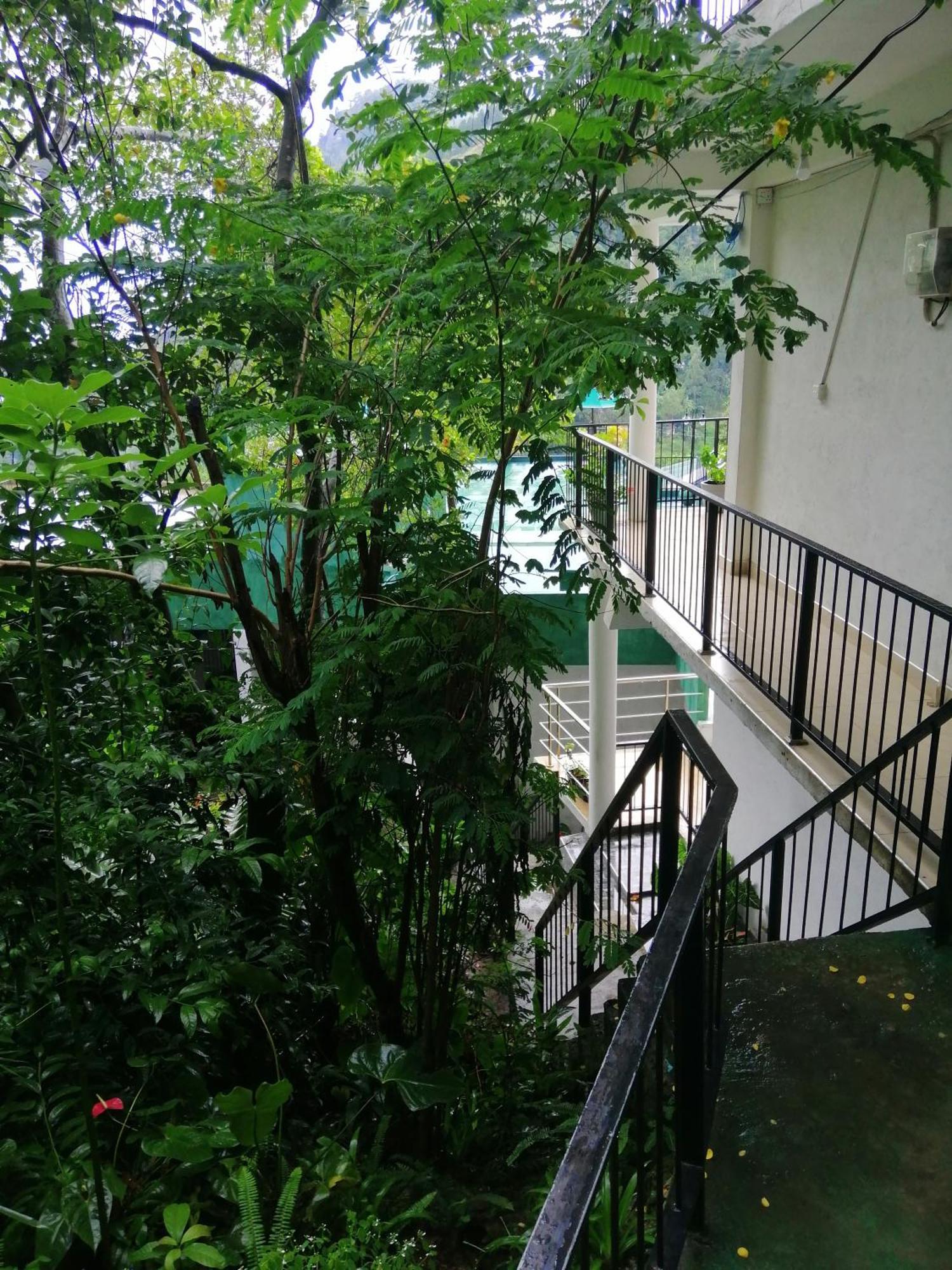 Super View Apartment Ела Стая снимка